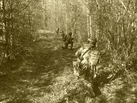 Tracking team moving through forest