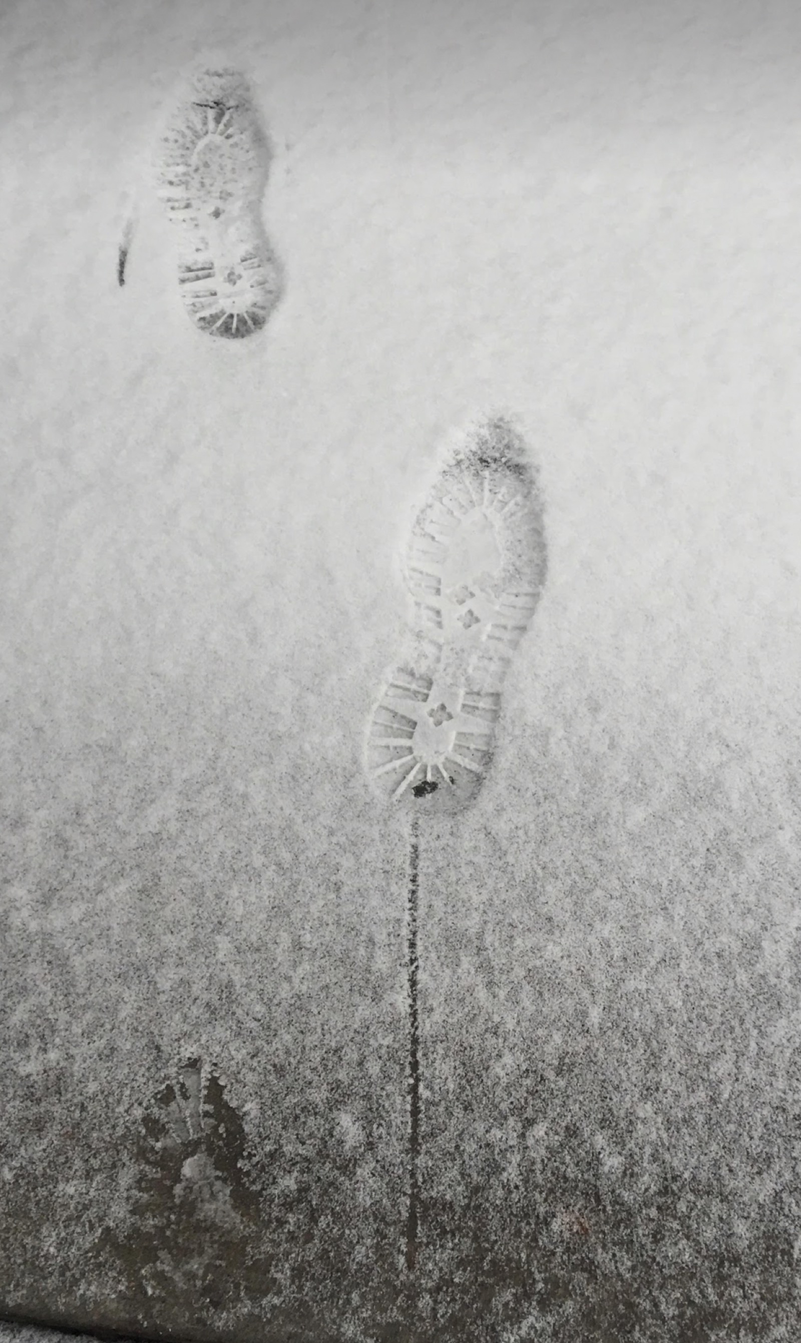Boot prints in snow with tracking measurement