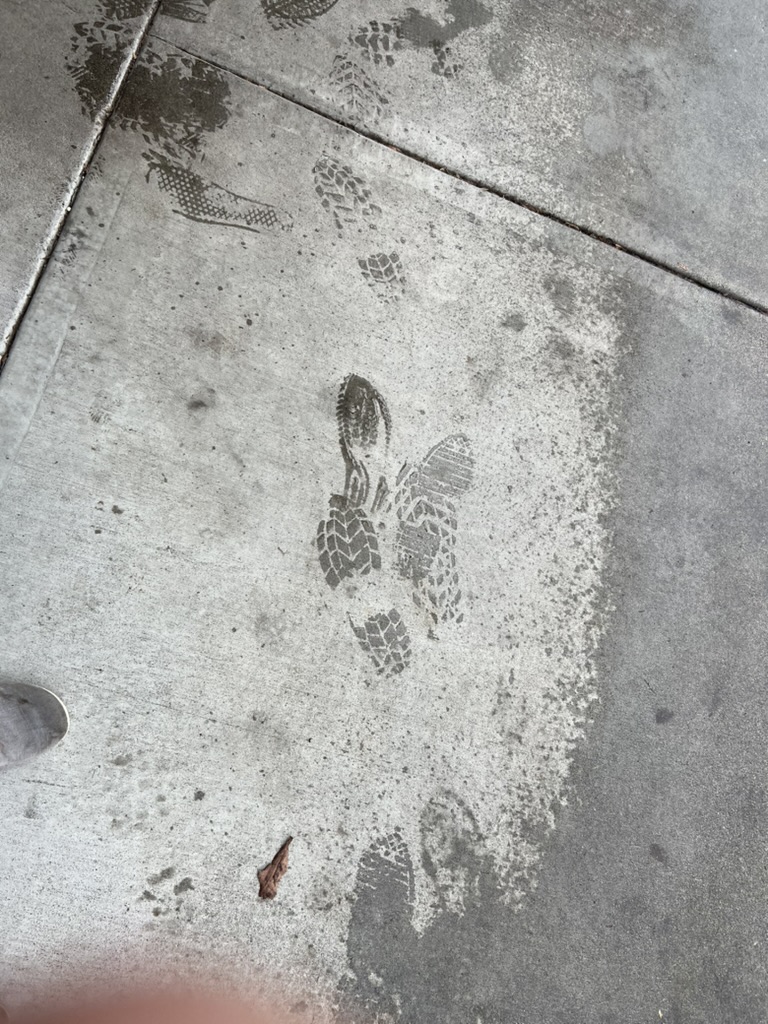 Boot tread prints visible on a concrete sidewalk — urban tracking on hard surface